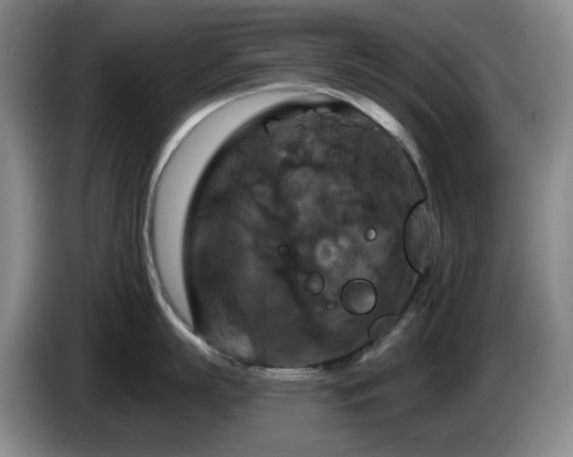 X0000085300863200703091430