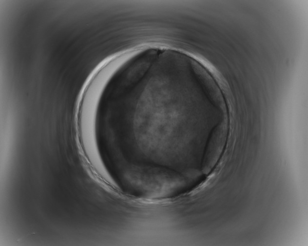 X0000085300864200703091430