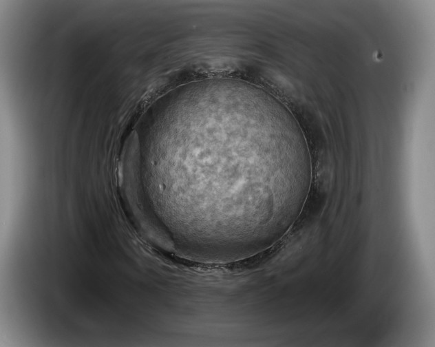 X0000085300866200703091430