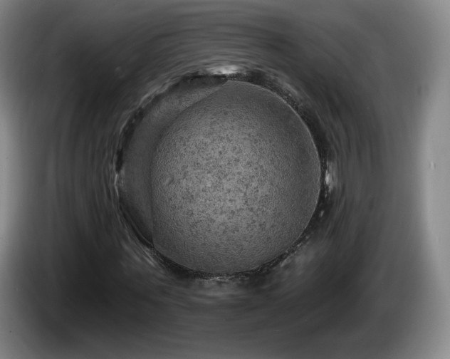 X0000085300867200703091430