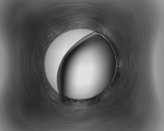 X0000085300868200703091430