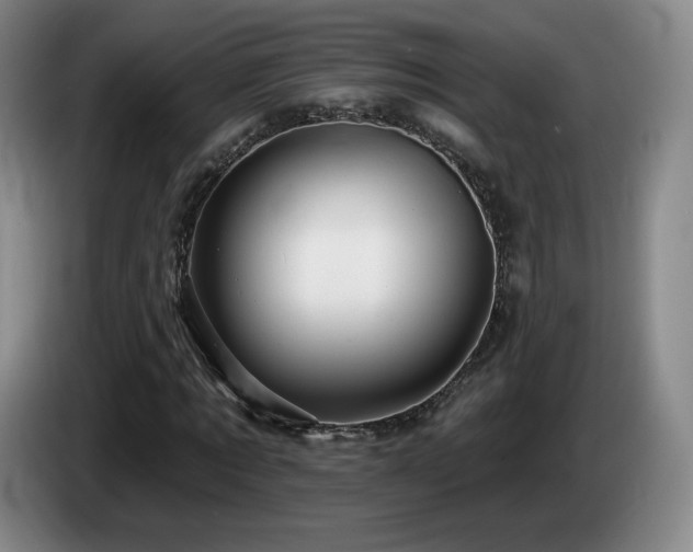 X0000085300869200703091430