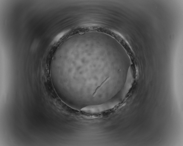 X0000085300871200703091430