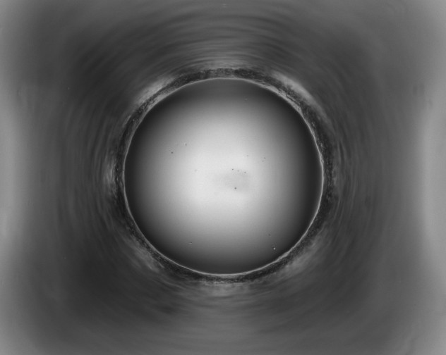 X0000085300873200703091429