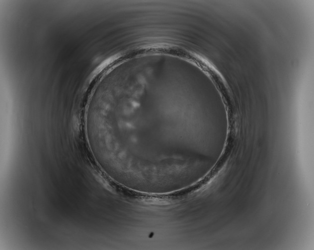 X0000085300874200703091429