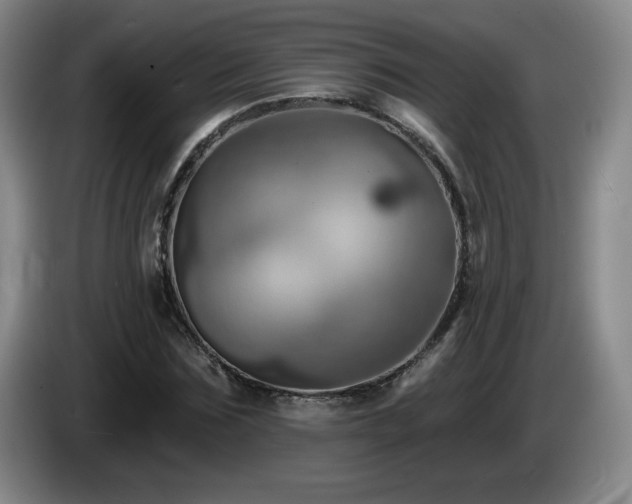 X0000085300875200703091429