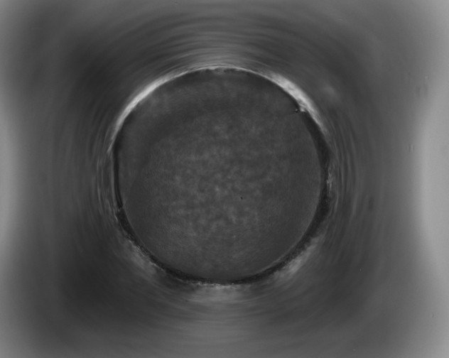 X0000085300877200703091429