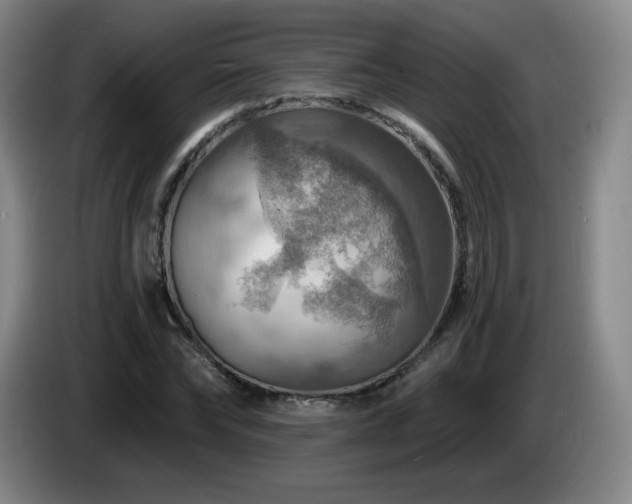 X0000085300878200703091429