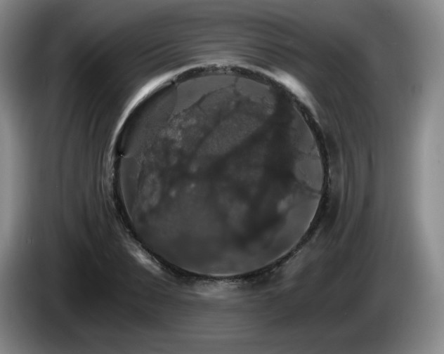 X0000085300879200703091429