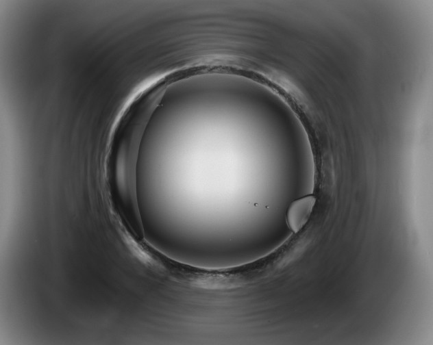 X0000085300880200703091429