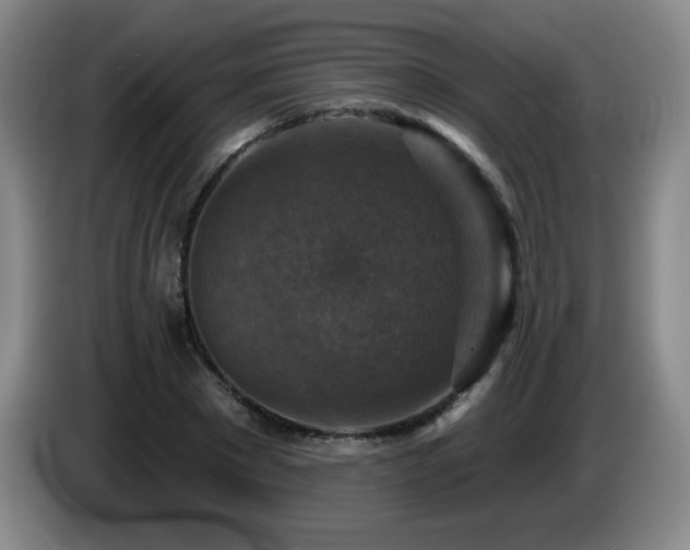 X0000085300881200703091429