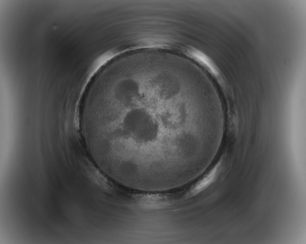 X0000085300883200703091429