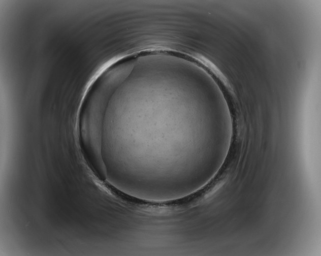 X0000085300885200703091429