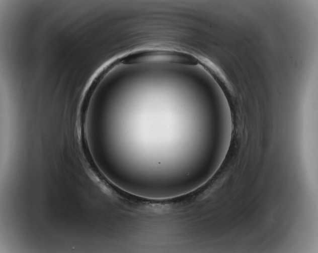 X0000085300888200703091429