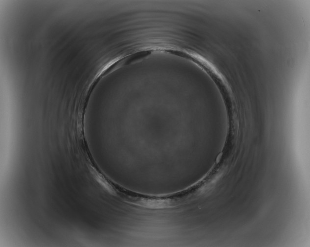 X0000085300889200703091429