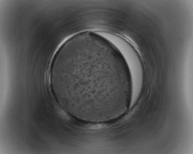 X0000085300891200703091429