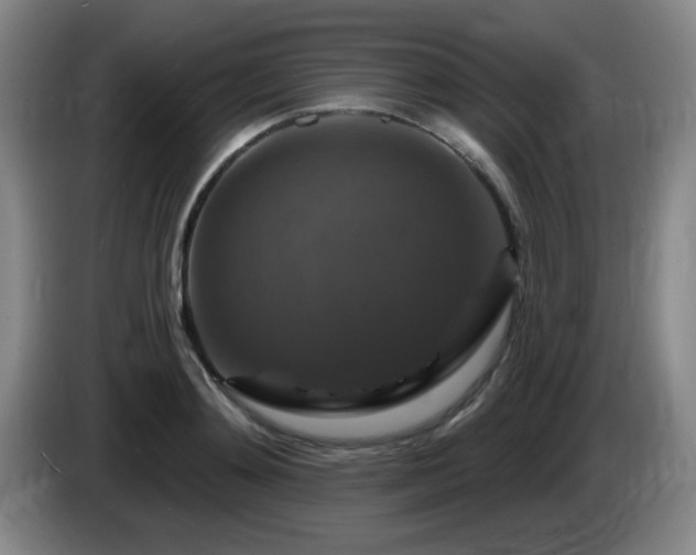 X0000085300892200703091429