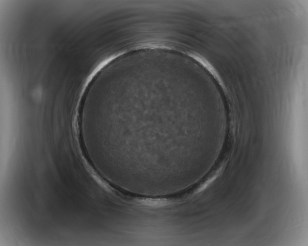 X0000085300893200703091429