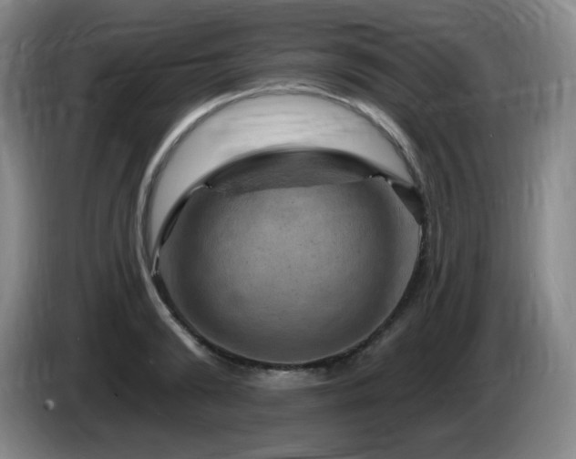 X0000085300894200703091429