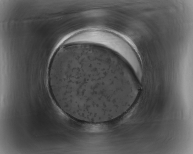 X0000085300895200703091429