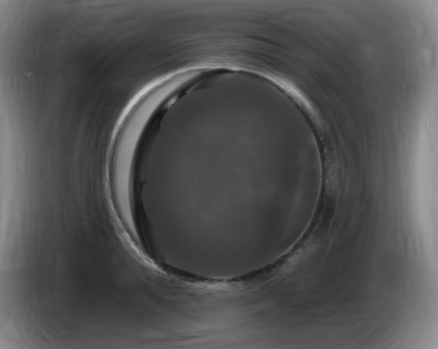 X0000085300896200703091429