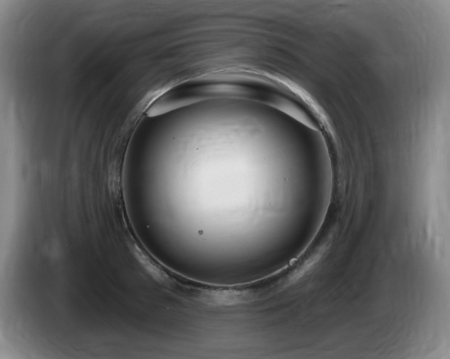 X0000085300897200703091429