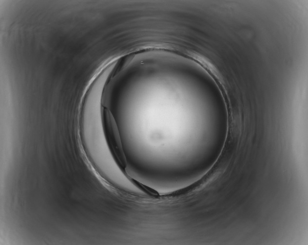 X0000085300898200703091429