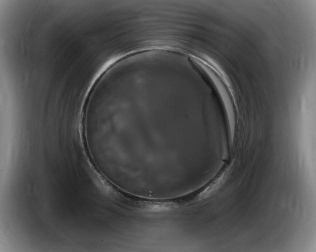 X0000085300899200703091429