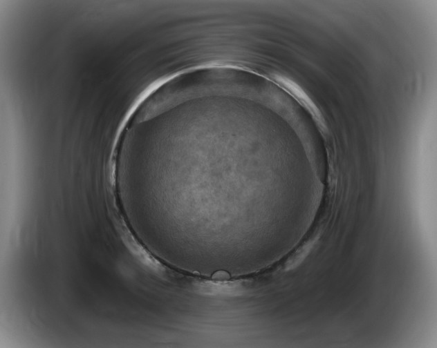 X0000085300900200703091429