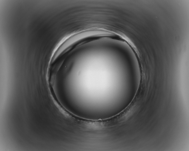 X0000085300901200703091429