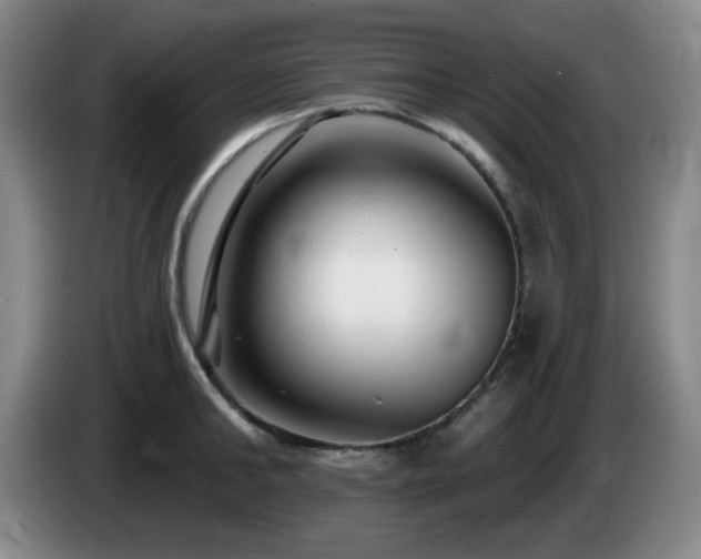 X0000085300902200703091429