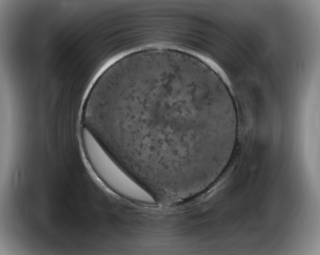 X0000085300903200703091429