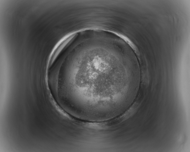 X0000085300904200703091429