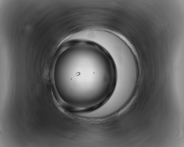 X0000085300905200703091429