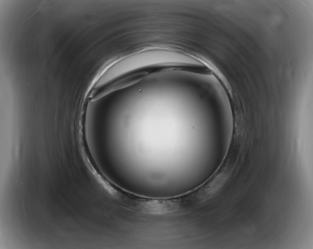 X0000085300906200703091429