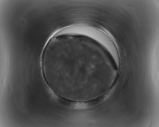 X0000085300907200703091429