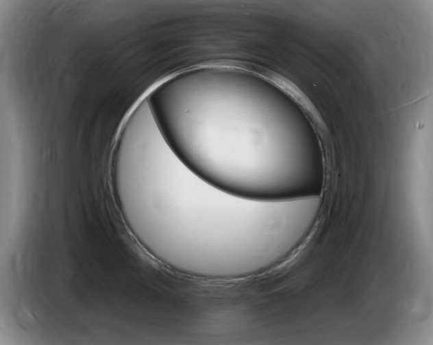 X0000085300908200703091429