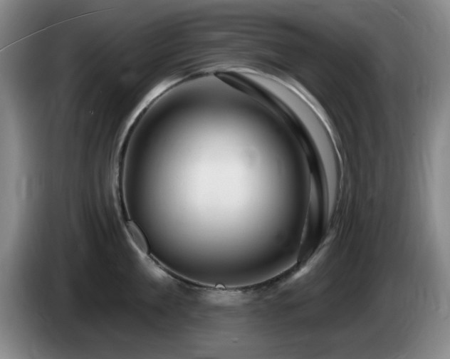 X0000085300909200703091429