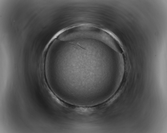 X0000085300910200703091429