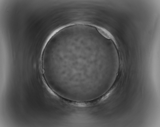 X0000085300911200703091429