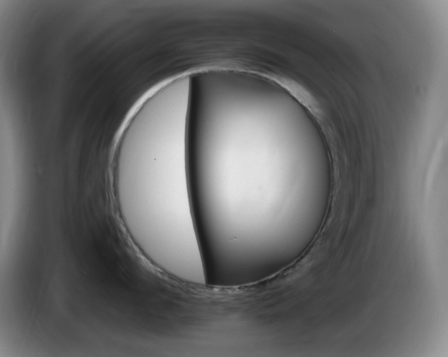 X0000085300912200703091429