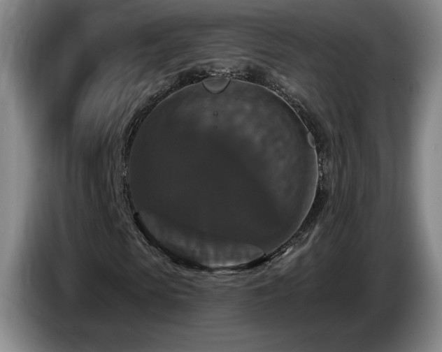 X0000085300913200703091428