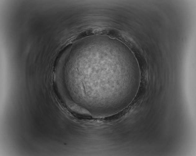 X0000085300914200703091428