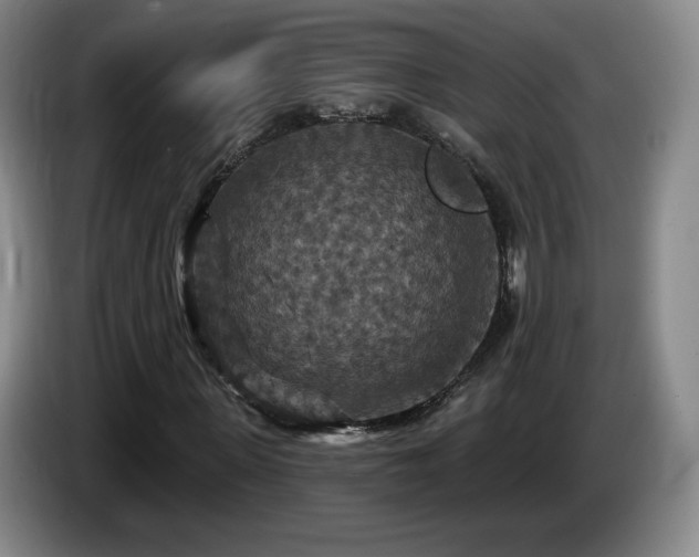 X0000085300915200703091428