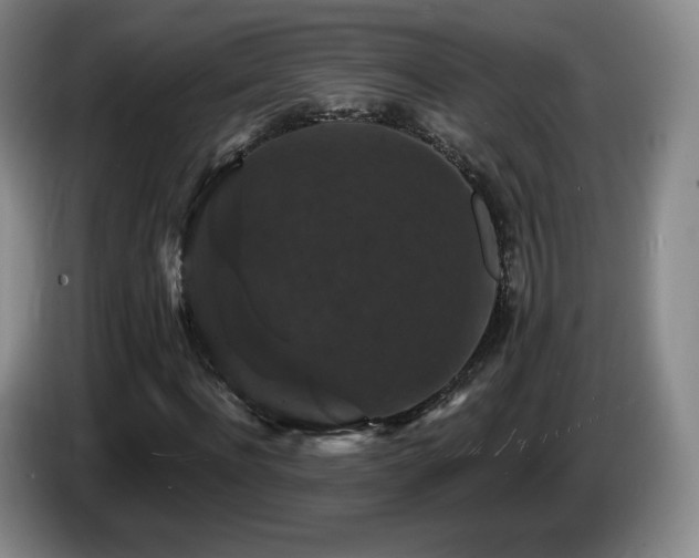 X0000085300916200703091428