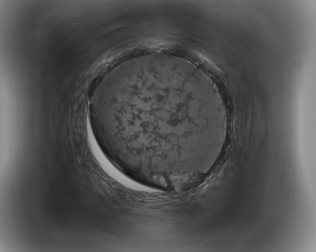 X0000085300917200703091428