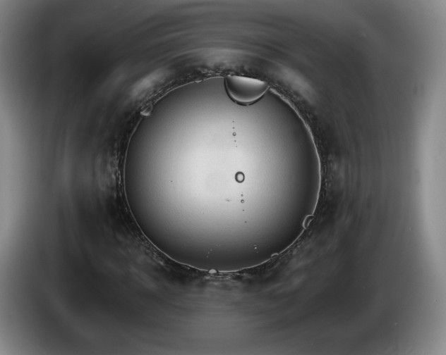 X0000085300918200703091428