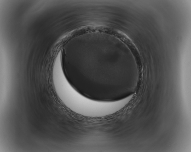 X0000085300919200703091428