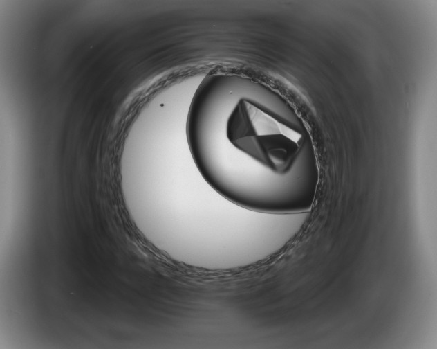 X0000085300920200703091428