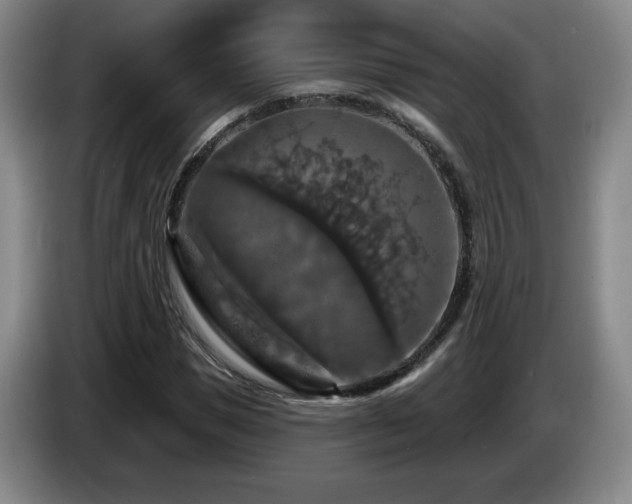 X0000085300921200703091428